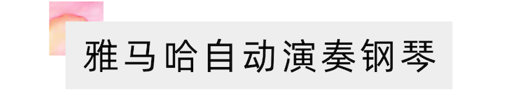 活动报道 | 远程艺术教育大师课活动——梦之城特邀艺术家张奕明大师课