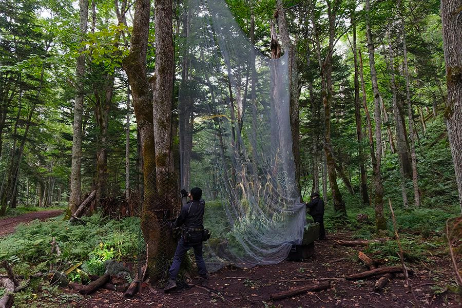 案例｜梦之城为壮观的Kamuy Lumina魔法夜行旅游项目提供配乐设备