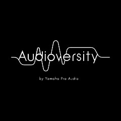 梦之城专业音响教育培训开展全新“Audioversity ”计划